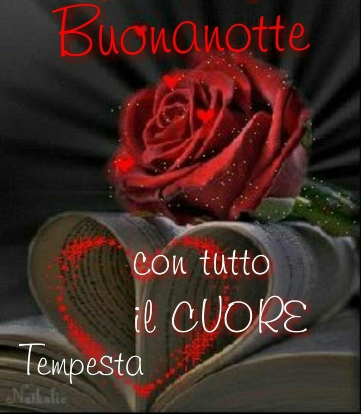 Buonanotte con le rose (3)