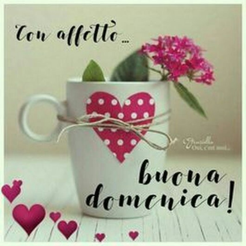 Buongiorno Buona Domenica teneri d'amore 3