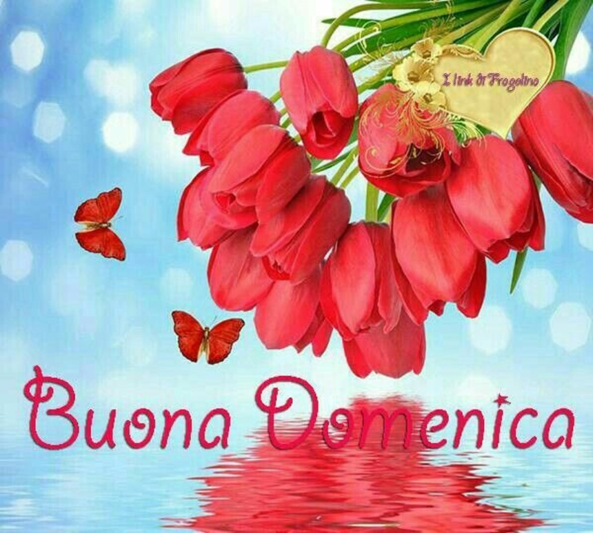 Buongiorno Buona Domenica teneri d'amore 4