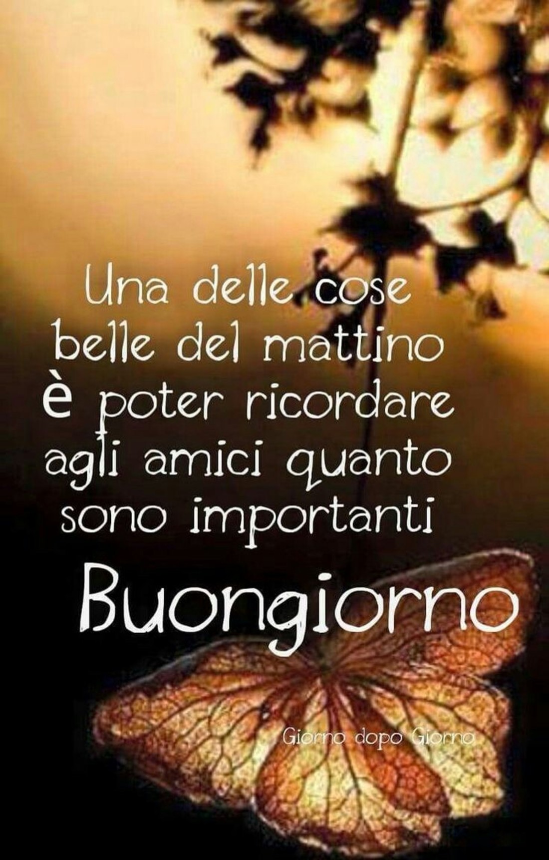 Buongiorno Immagini 4596