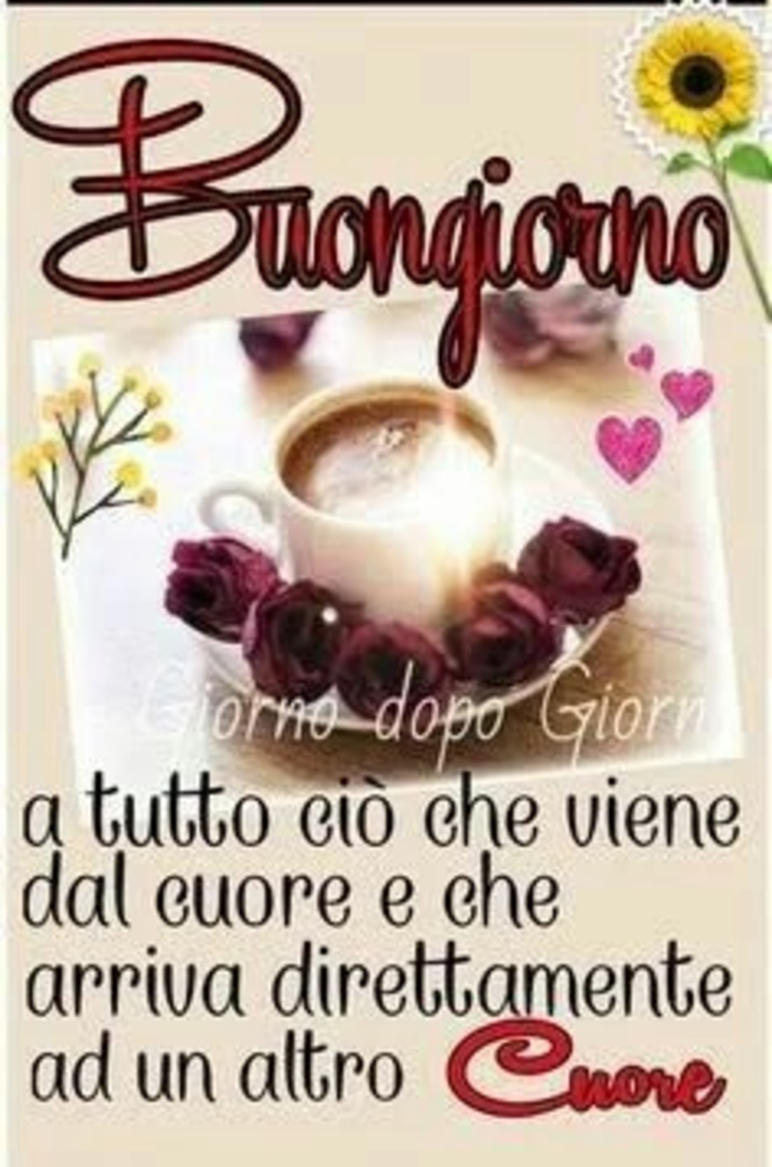 Buongiorno Immagini gratis 4822