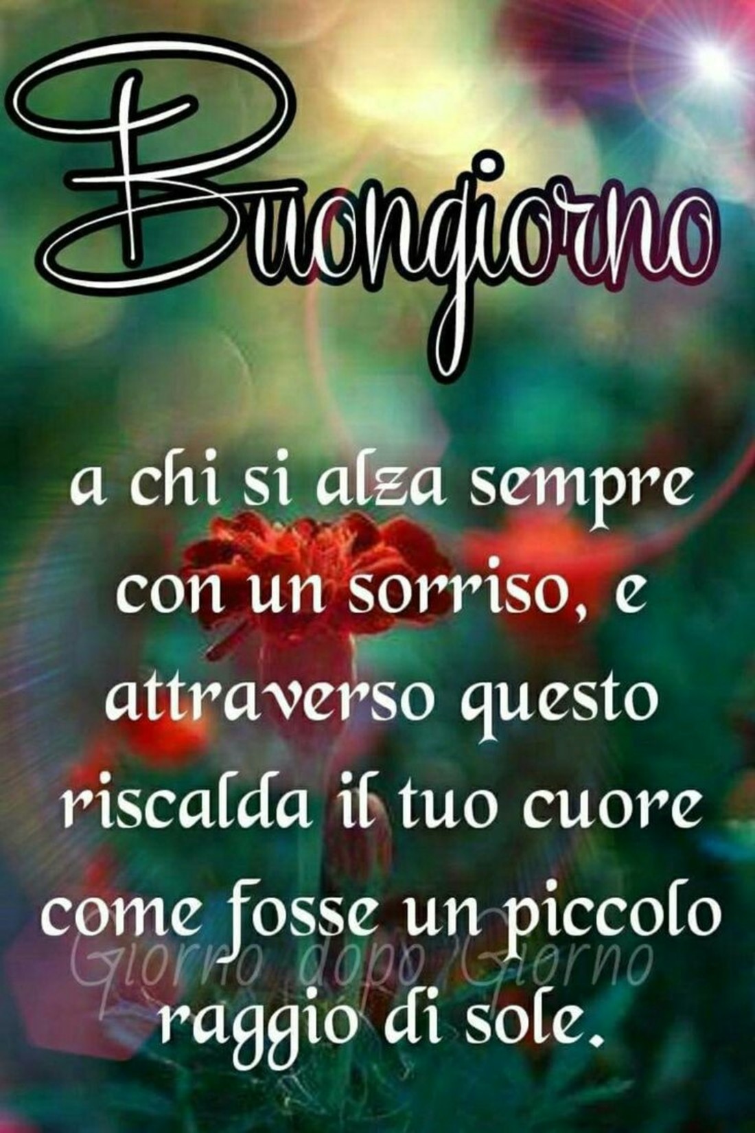 Buongiorno affettuoso 5647