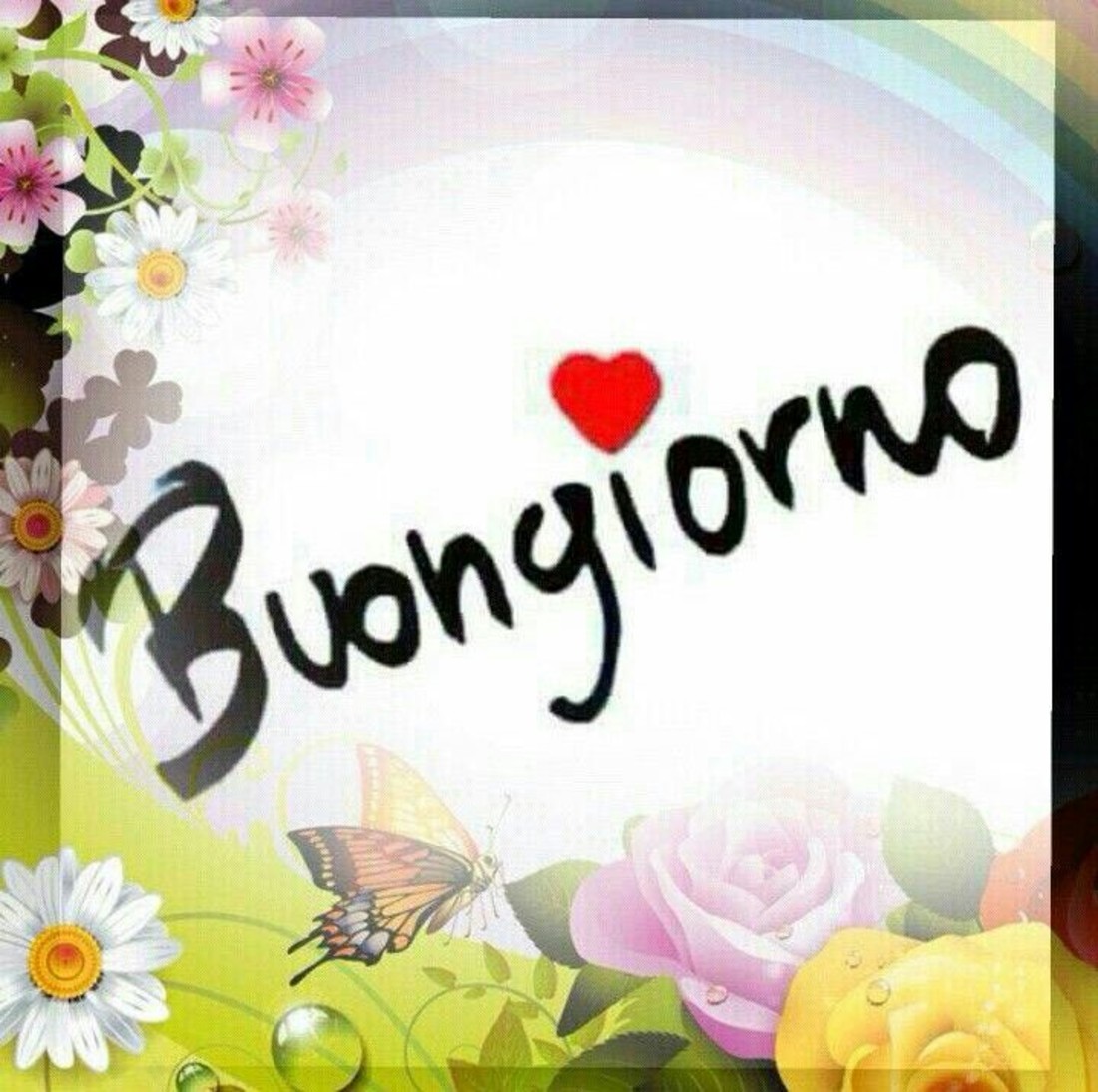 Buongiorno dolce 5594