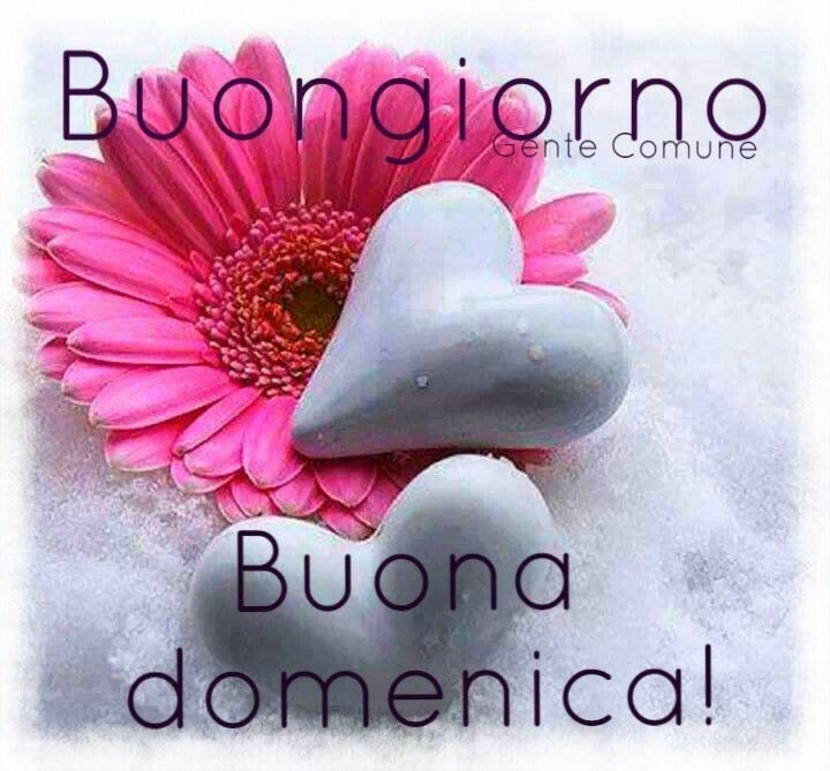Buongiorno e Buona Domenica 5375