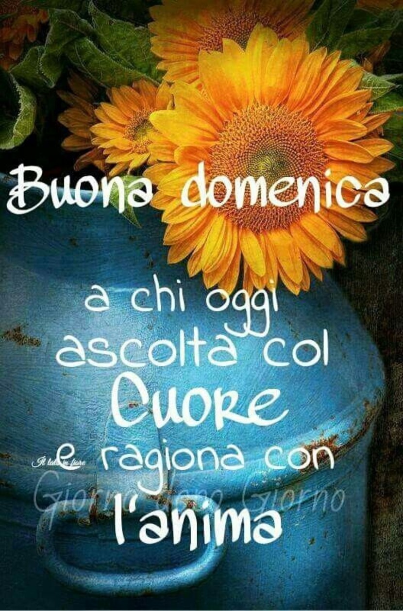 Buongiorno e Buona Domenica 6042