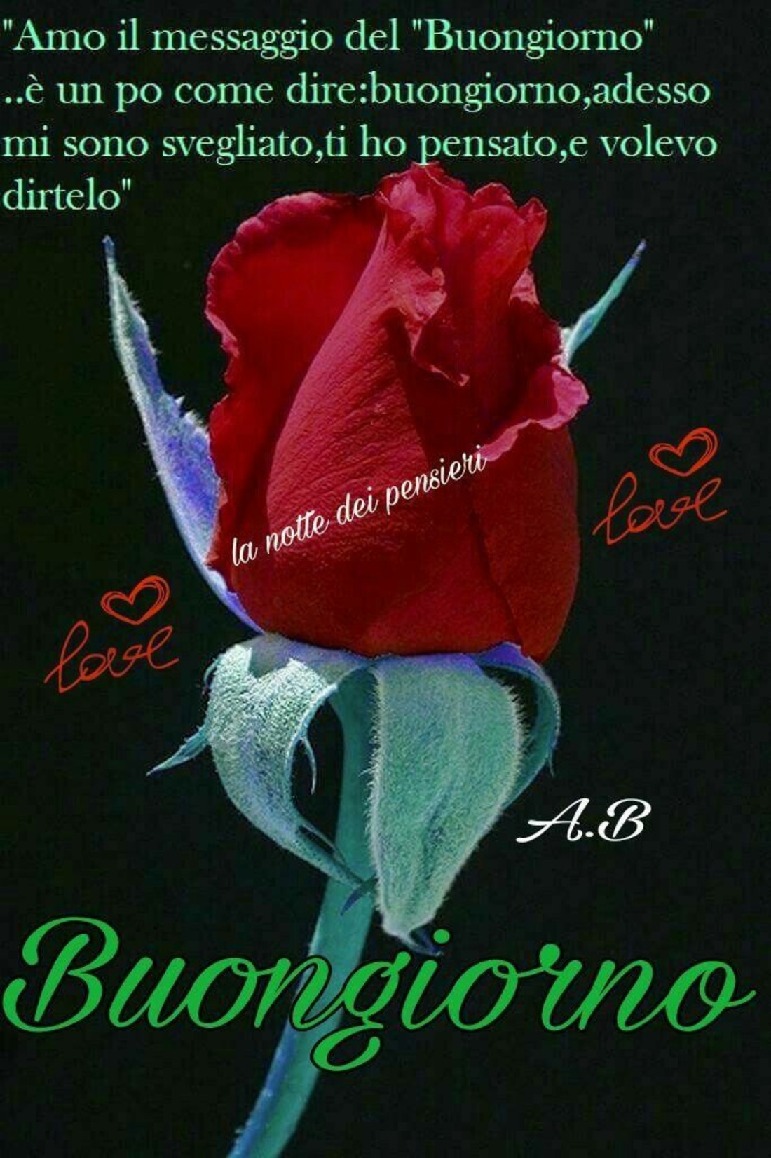 Buongiorno rosa rossa