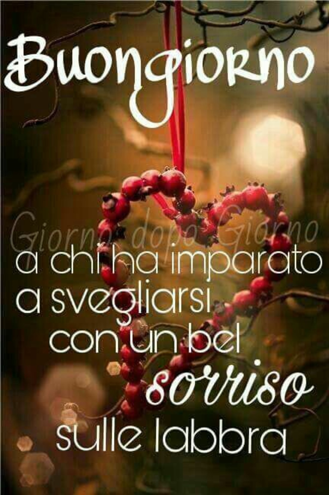 Frasi Buongiorno allegre 7367