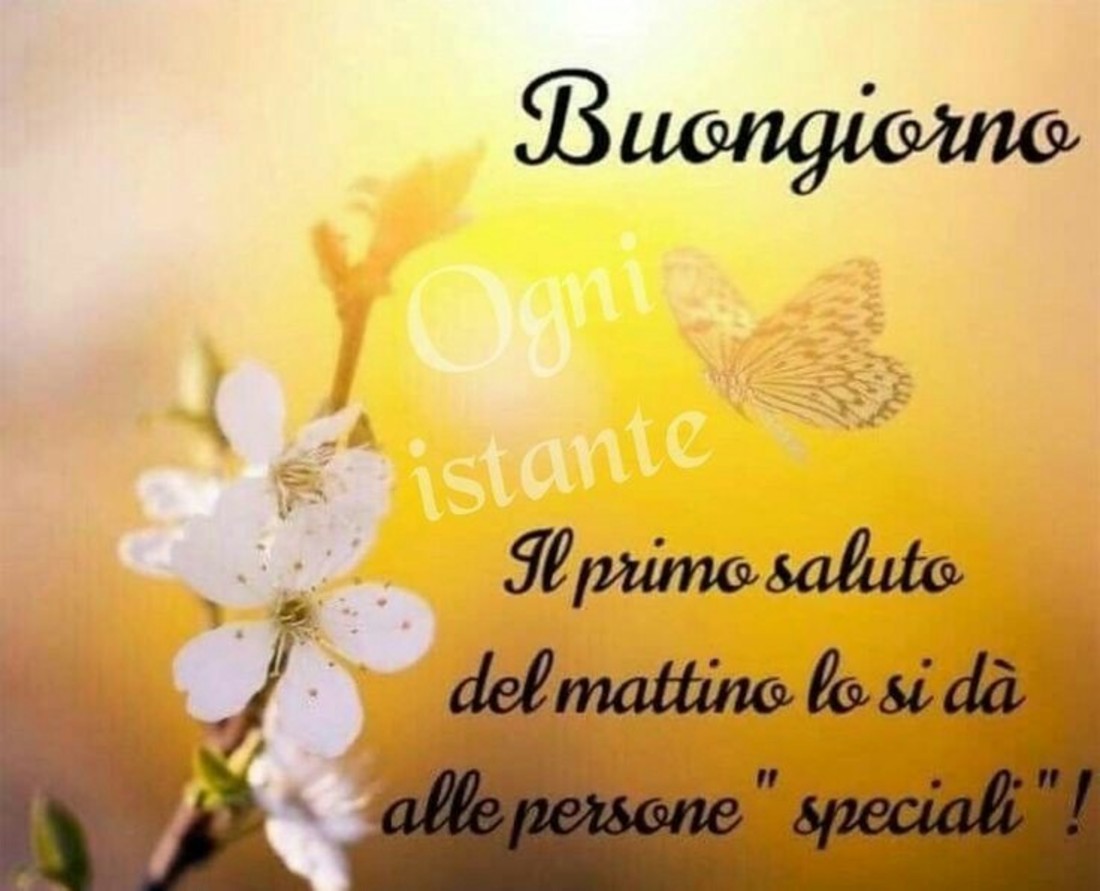 Frasi Buongiorno belle 6637