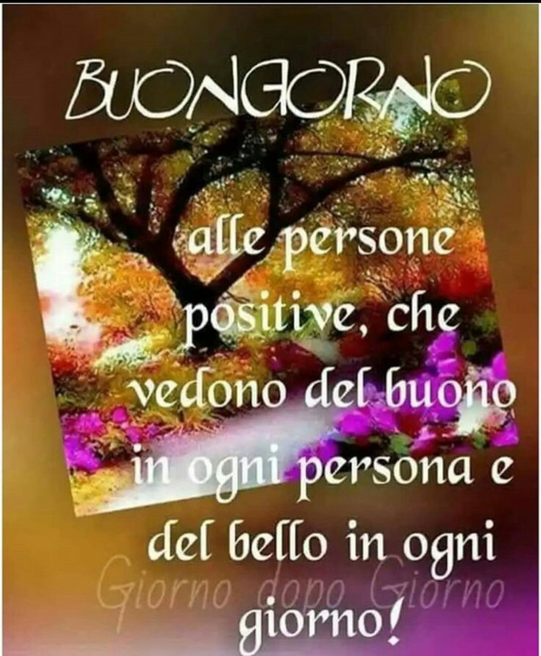 Frasi Buongiorno belle 6667