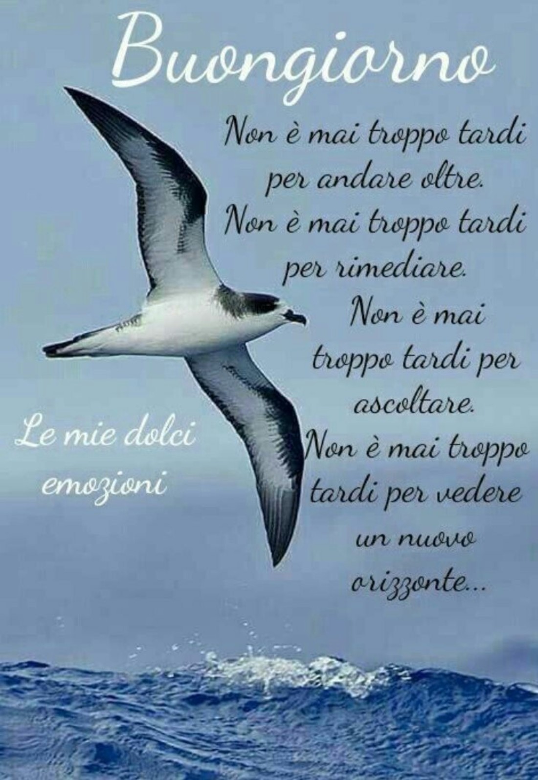 Frasi Buongiorno Belle 6702 Bellissimeimmagini It