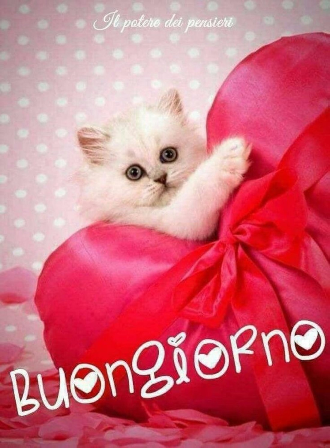 Frasi Buongiorno bellissime 676