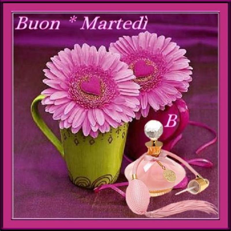 Frasi belle buongiorno e buon martedì 5102