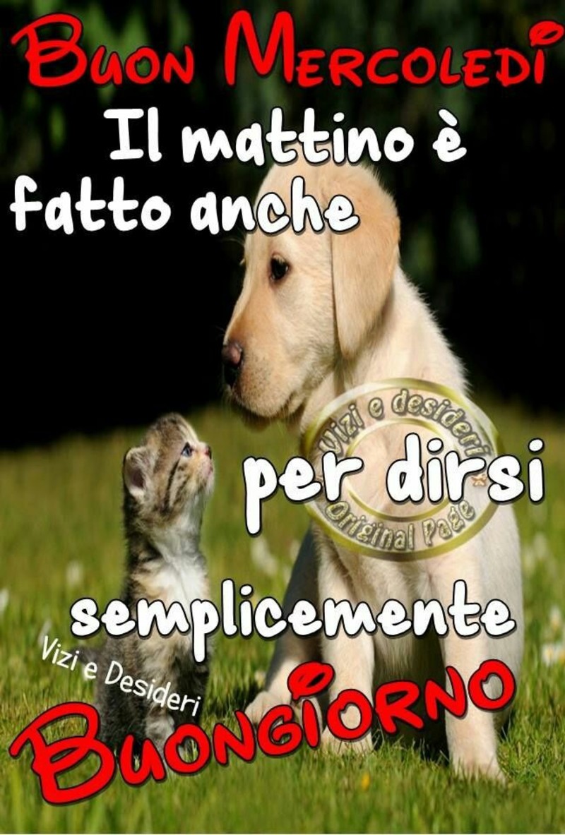Frasi immagini Buongiorno Buon Mercoledì 2820