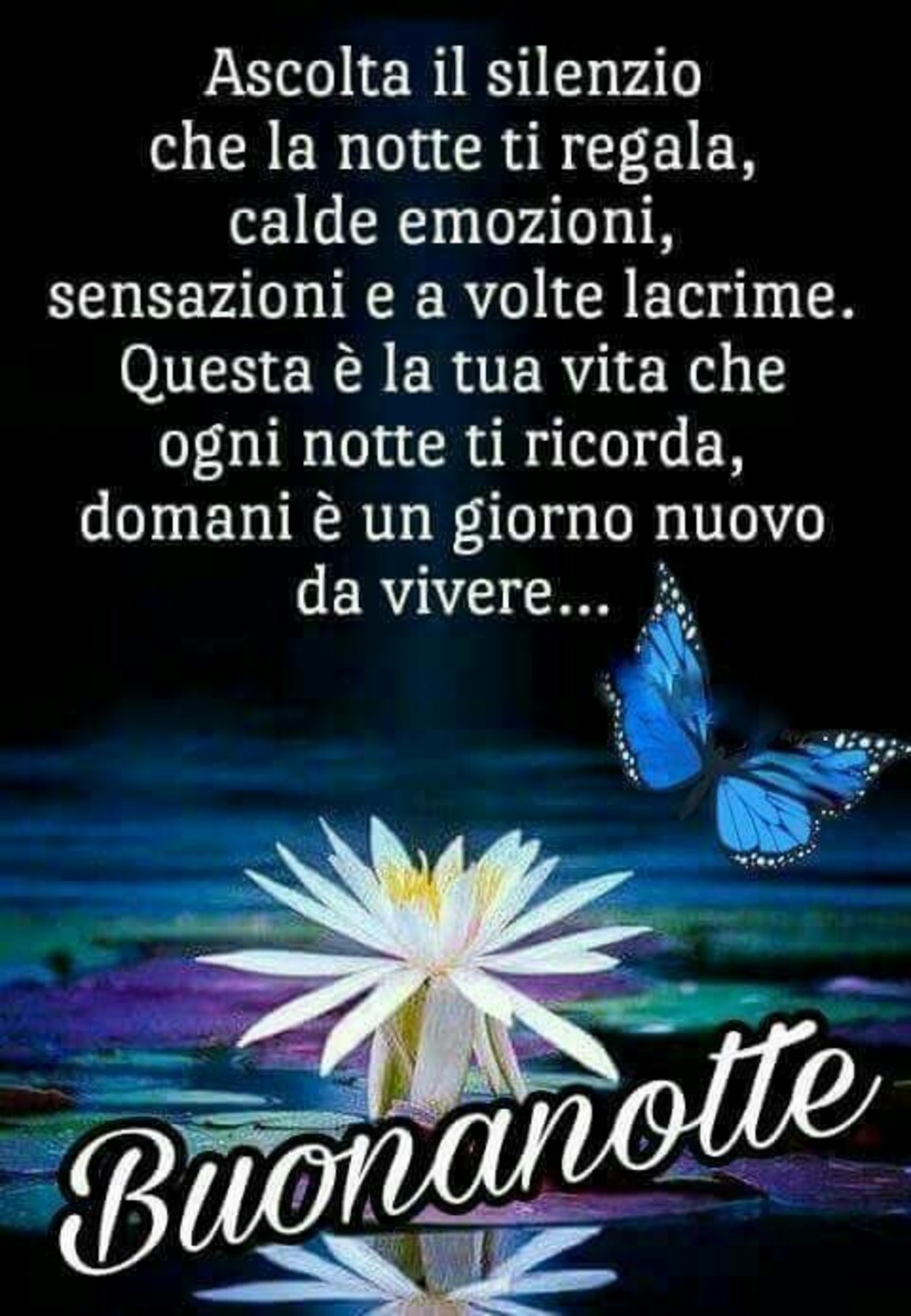 Frasi romantiche Buonanotte 293