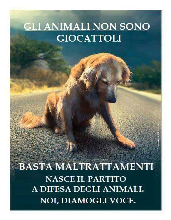 Gli animali non sono giocattoli belle immagini da condividere