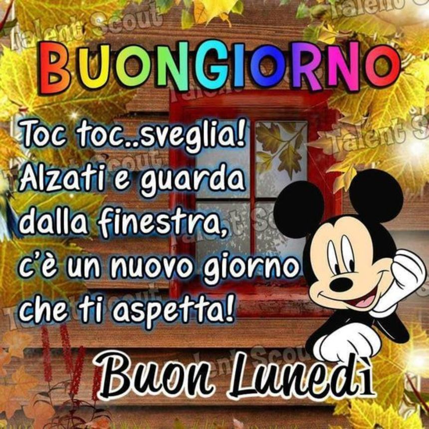 Immagini Buon Lunedì 1542