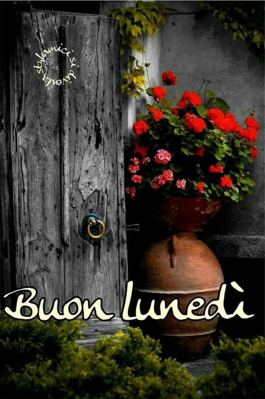 Immagini Buon Lunedì 1547