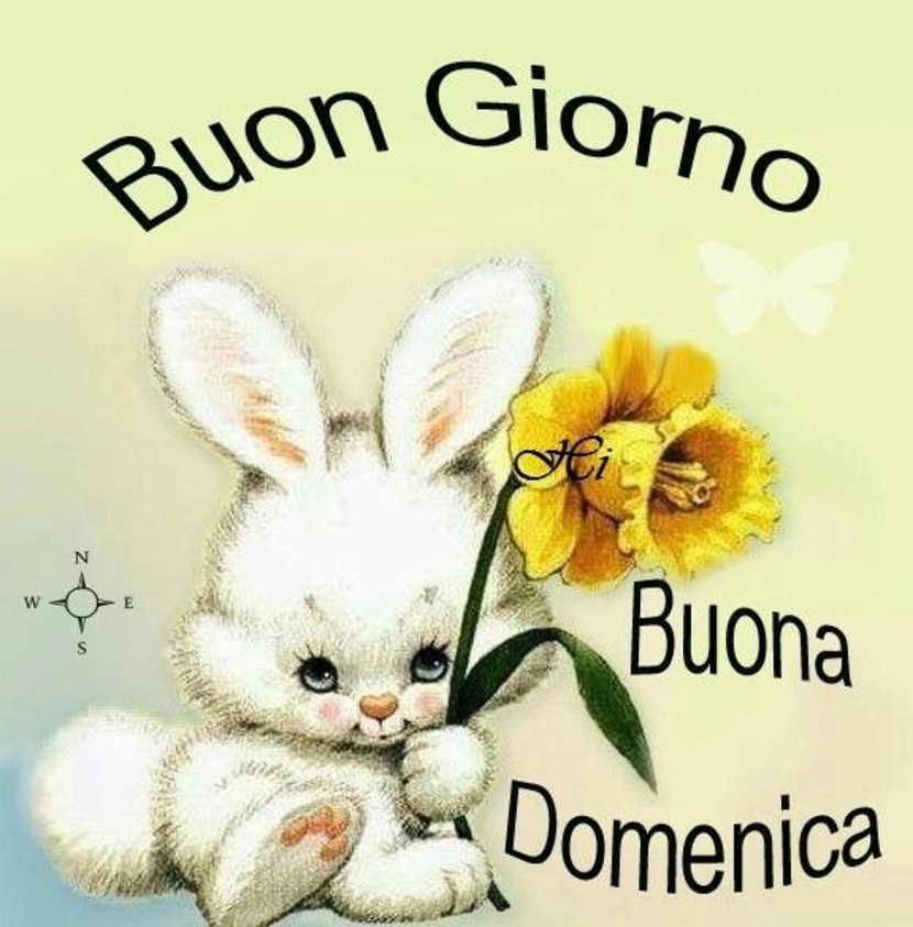 Immagini Buona Domenica 3108