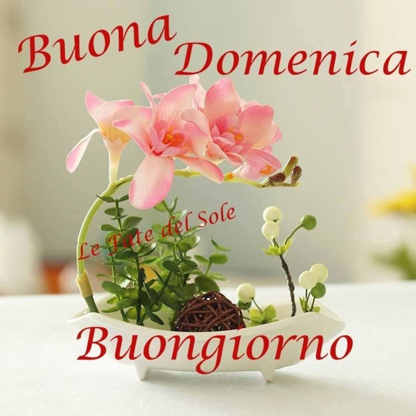 Immagini Buona Domenica 3128