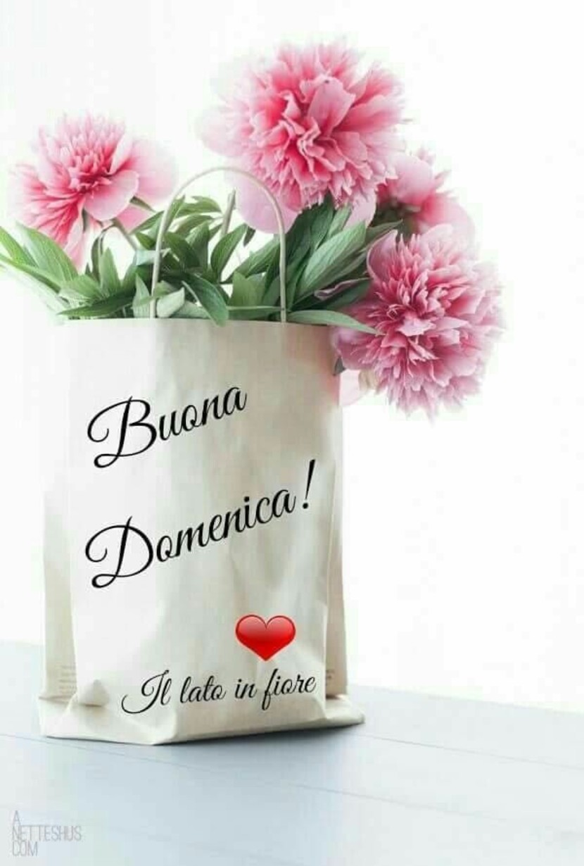 Immagini Buona Domenica Buongiorno WhatsApp 8883