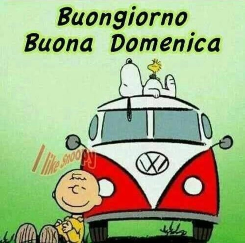 Immagini Buona Domenica Buongiorno simpatiche 6175