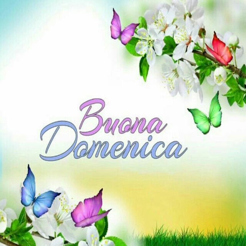 Immagini Buona Domenica con farfalle