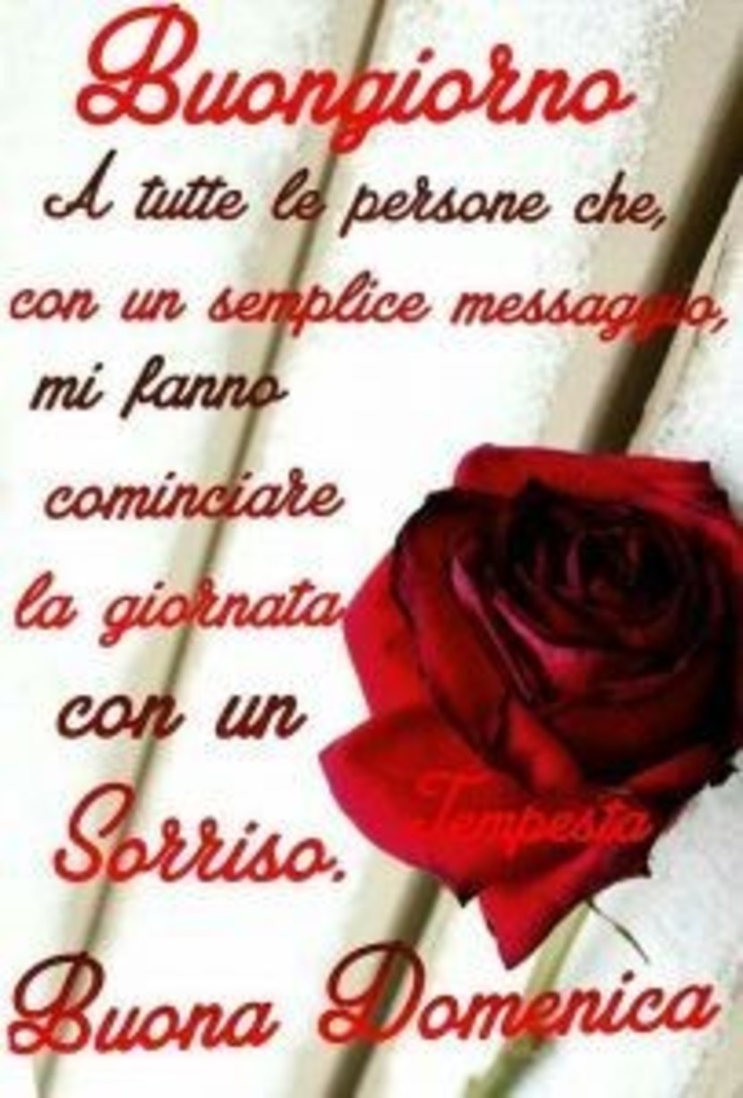 Immagini Buona Domenica con i fiori 9484