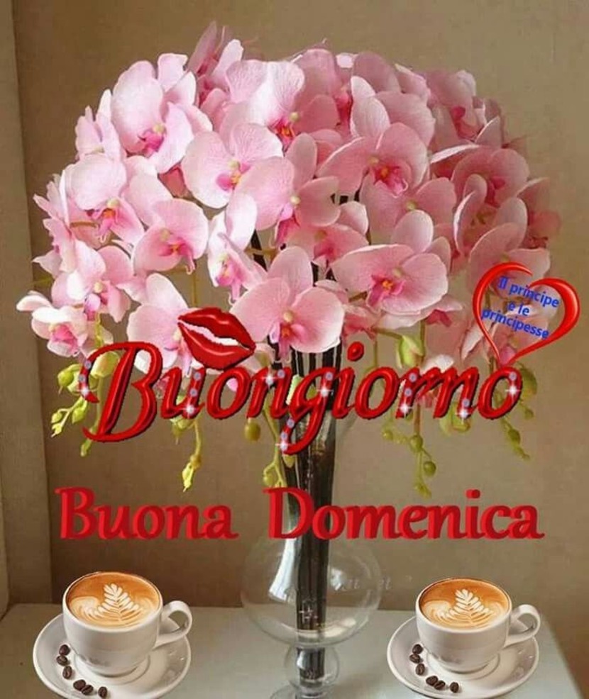 Immagini Buona Domenica con i fiori 9792