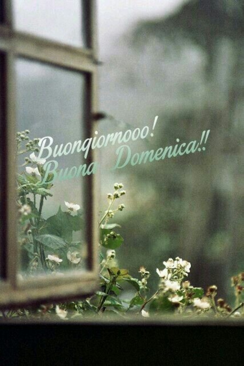 Immagini Buona Domenica con i fiori 9832