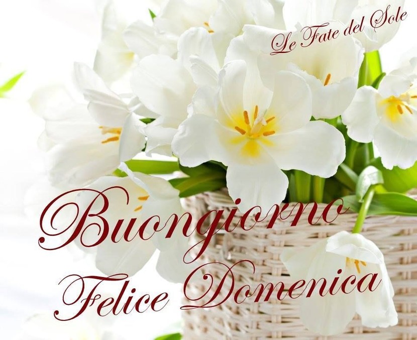 Immagini Buona Domenica nuove 3728