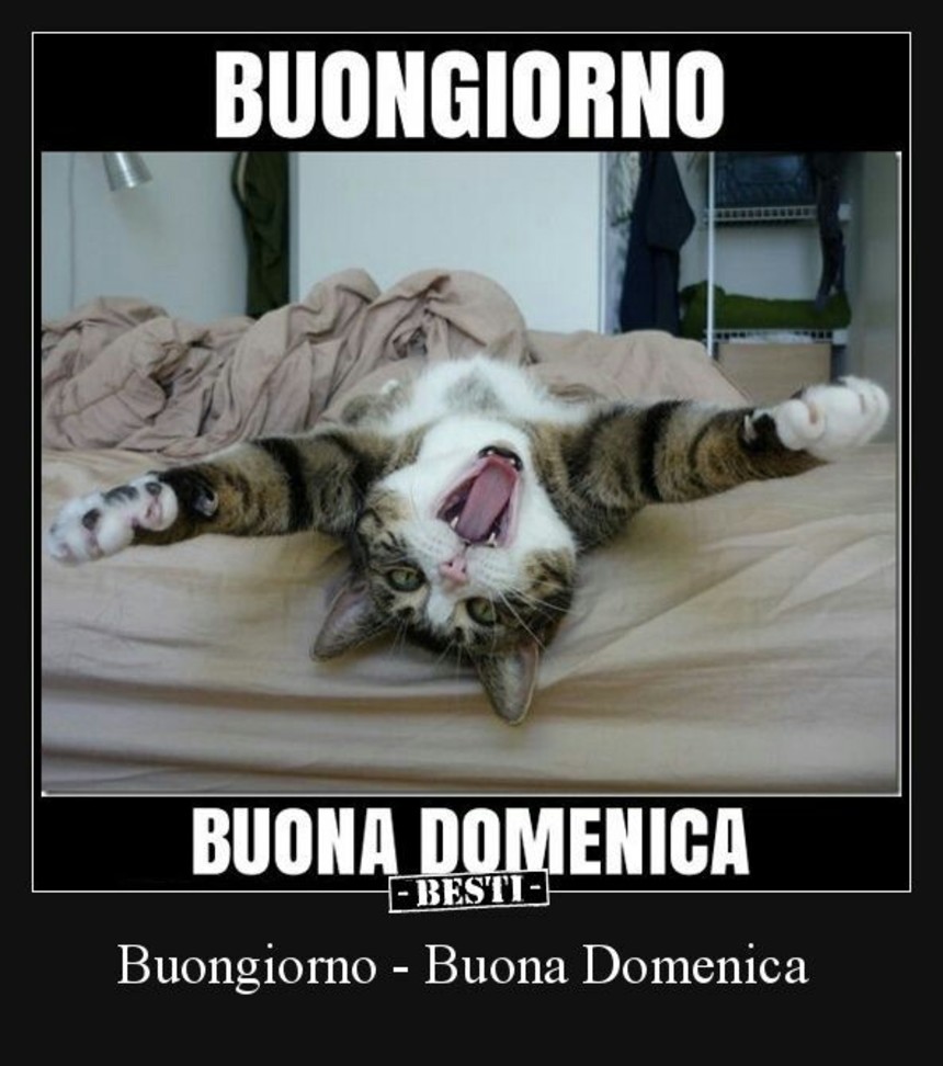 Immagini Buona Domenica nuove 4707