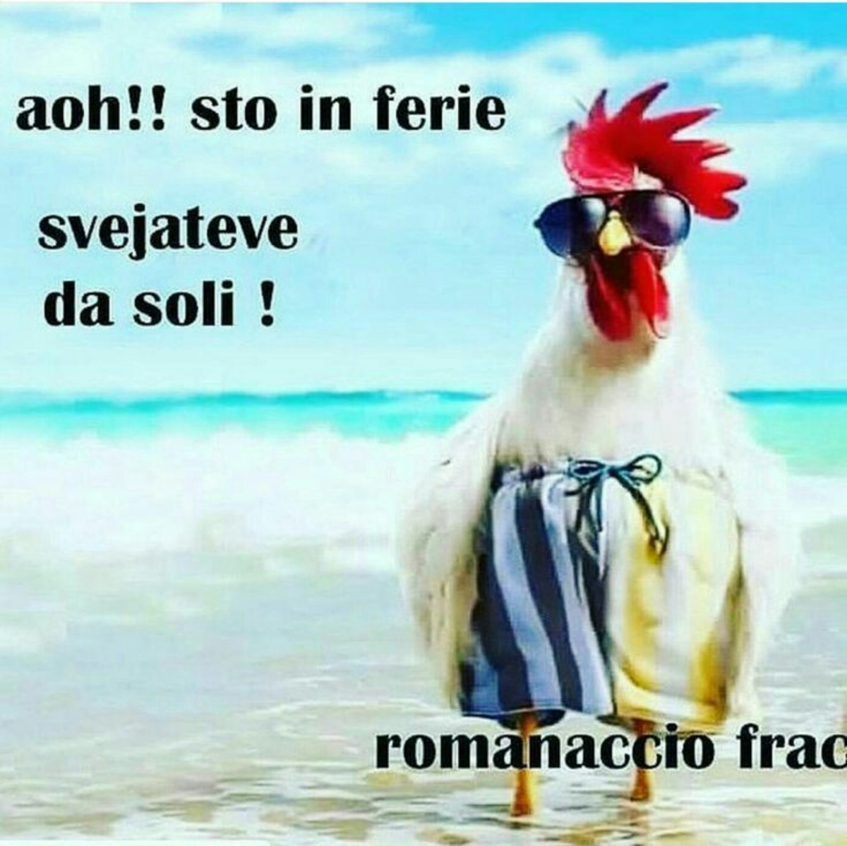 Immagini Buongiorno con gallo al mare