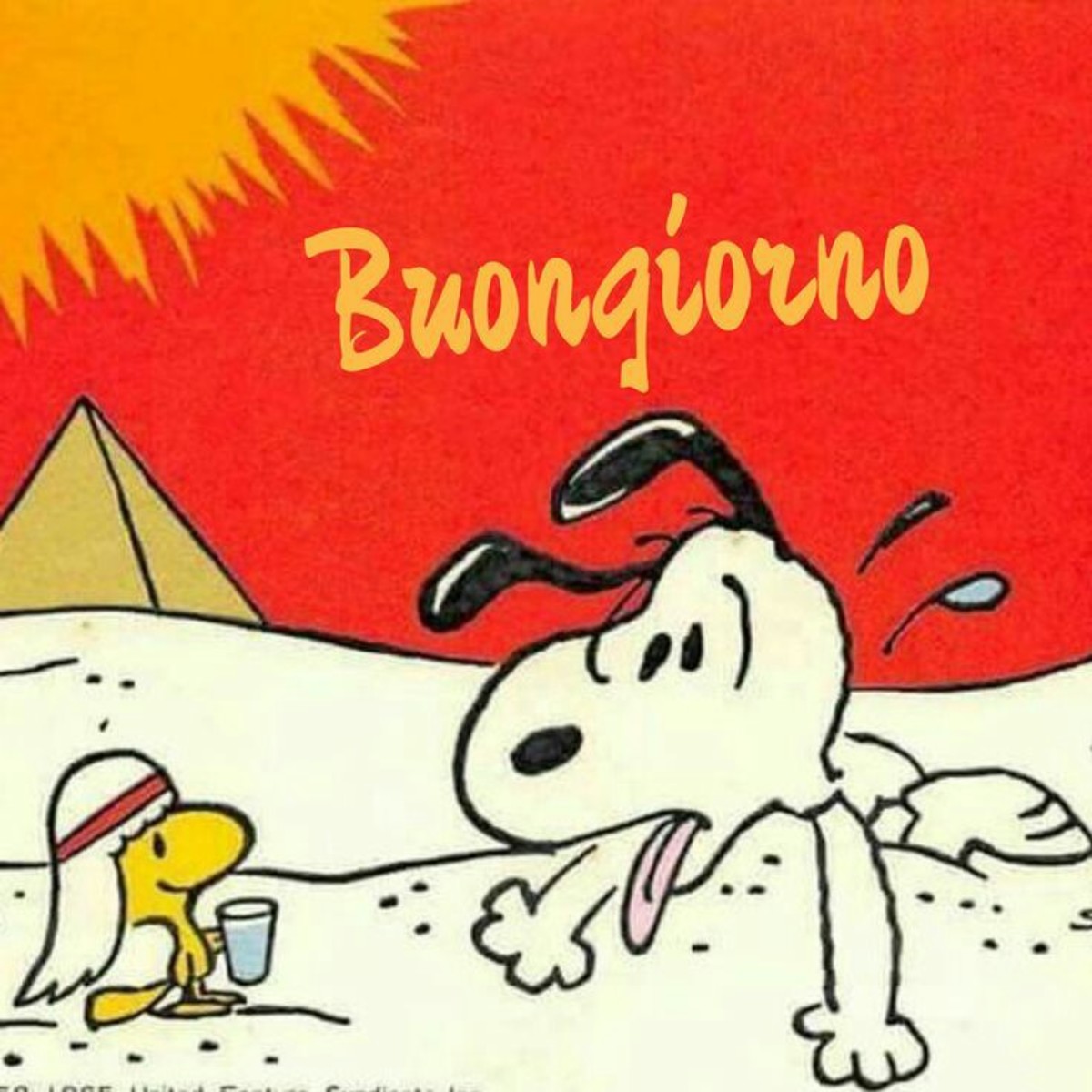 Immagini Buongiorno estate con Snoopy