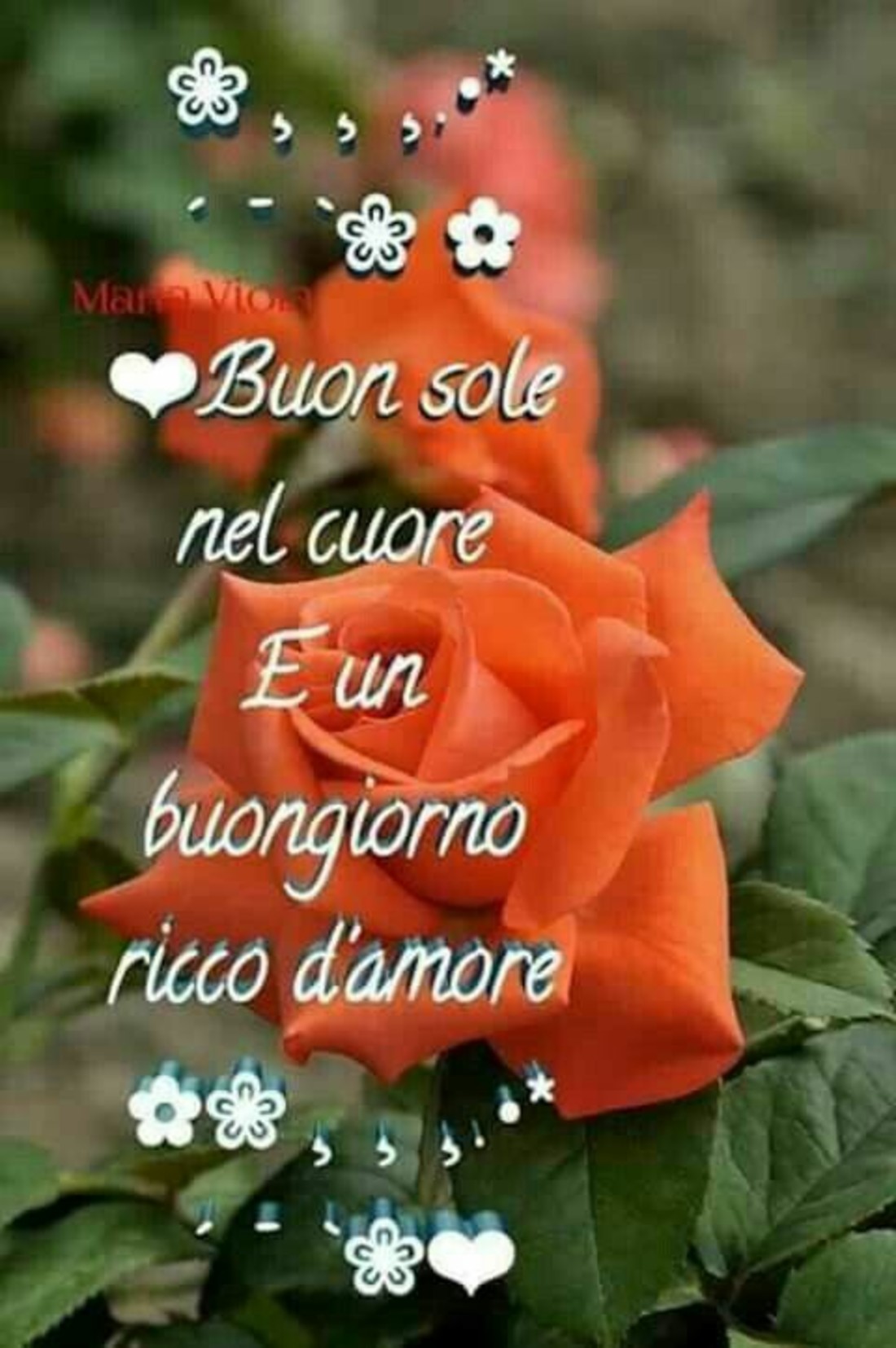Immagini Buongiorno generiche 2865