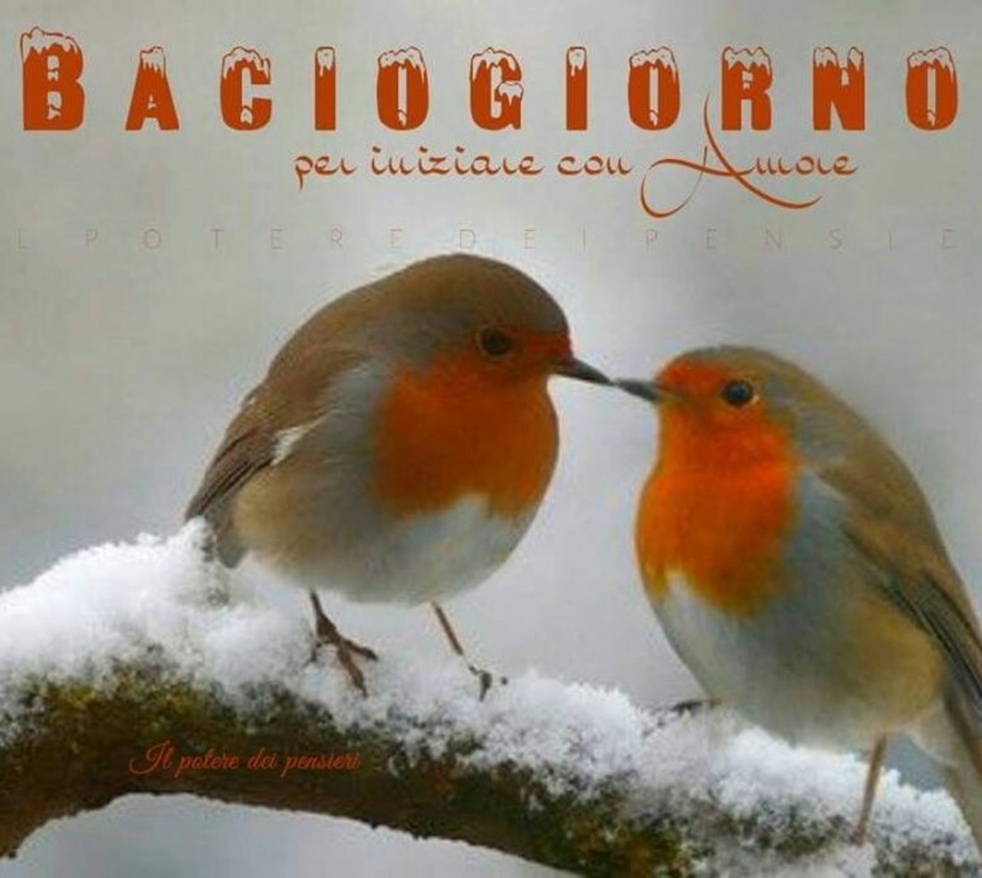 Immagini Buongiorno neve freddo