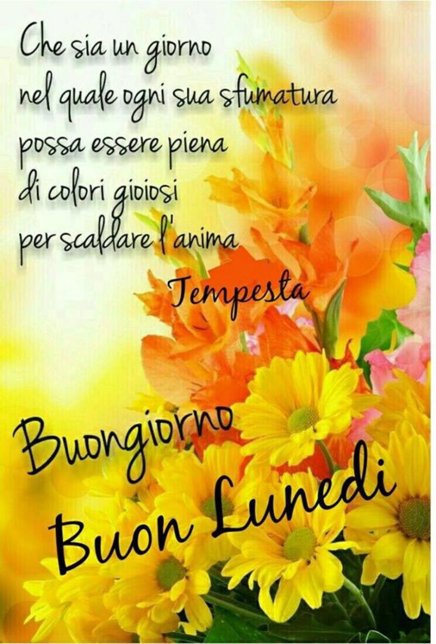 Immagini Buongiorno è Lunedì manteniamo la calma 5090