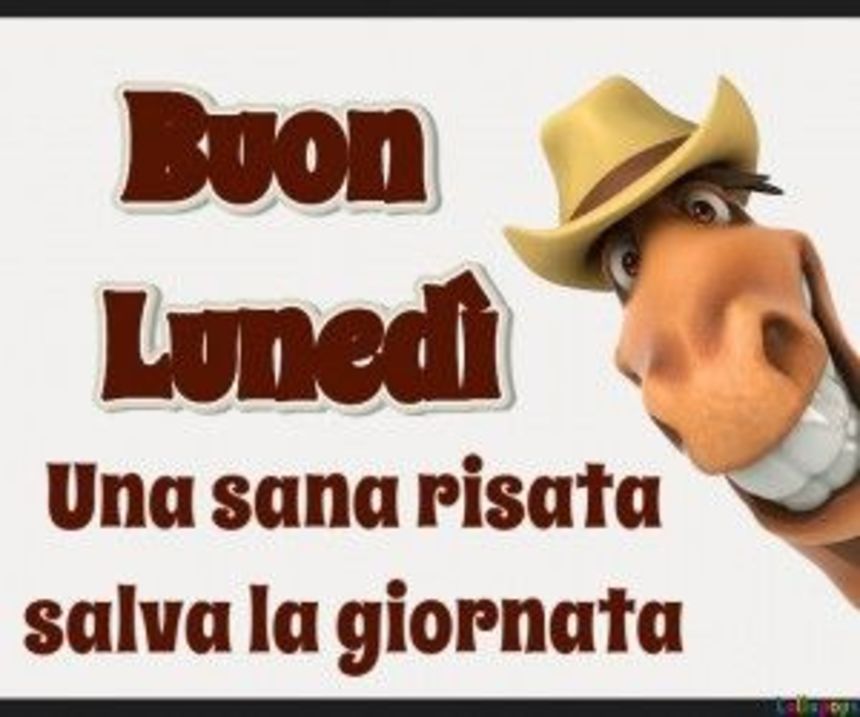 Immagini Lunedì nuova settimana divertenti (1)