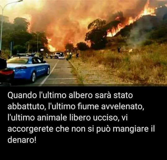 Immagini belle da condividere contro il maltrattamento di animali e della flora