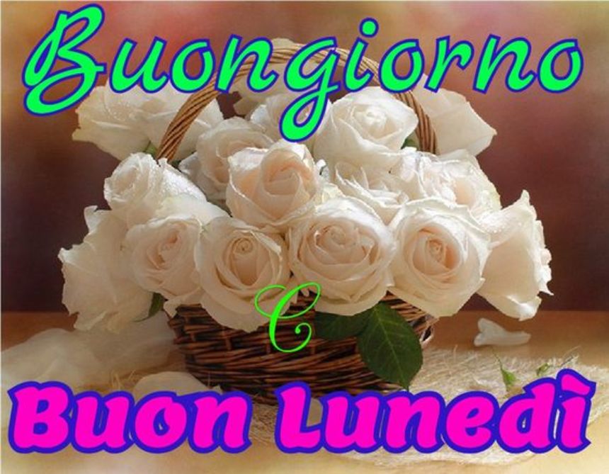 Immagini belle divertenti Buongiorno Lunedì 5898