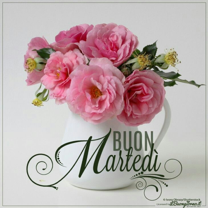 Immagini bellissime buongiorno e buon martedì