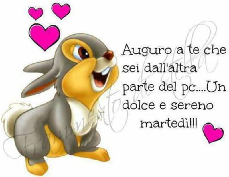 Immagini dolci per buon martedì 7106