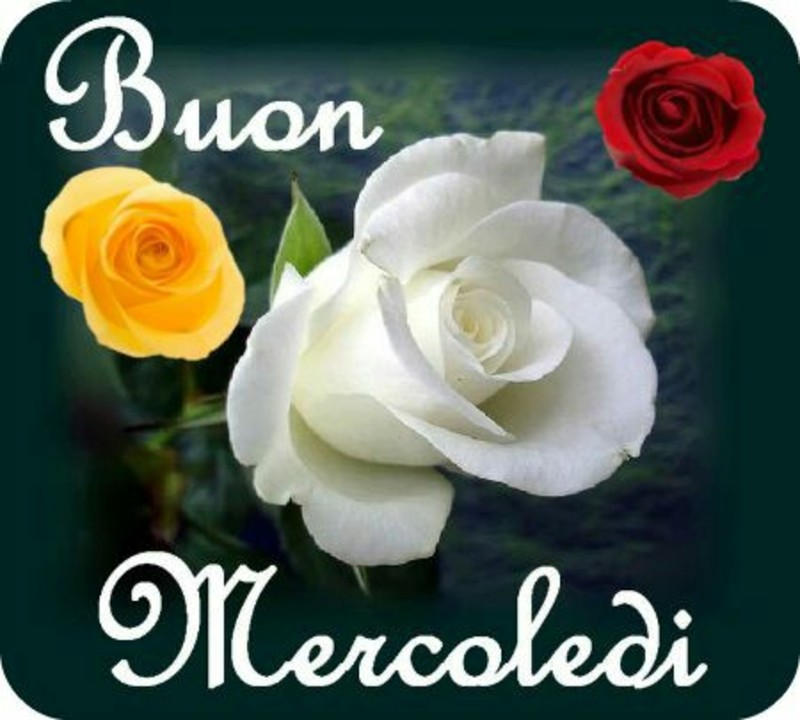Immagini e Frasi per Buon Mercoledì (6)