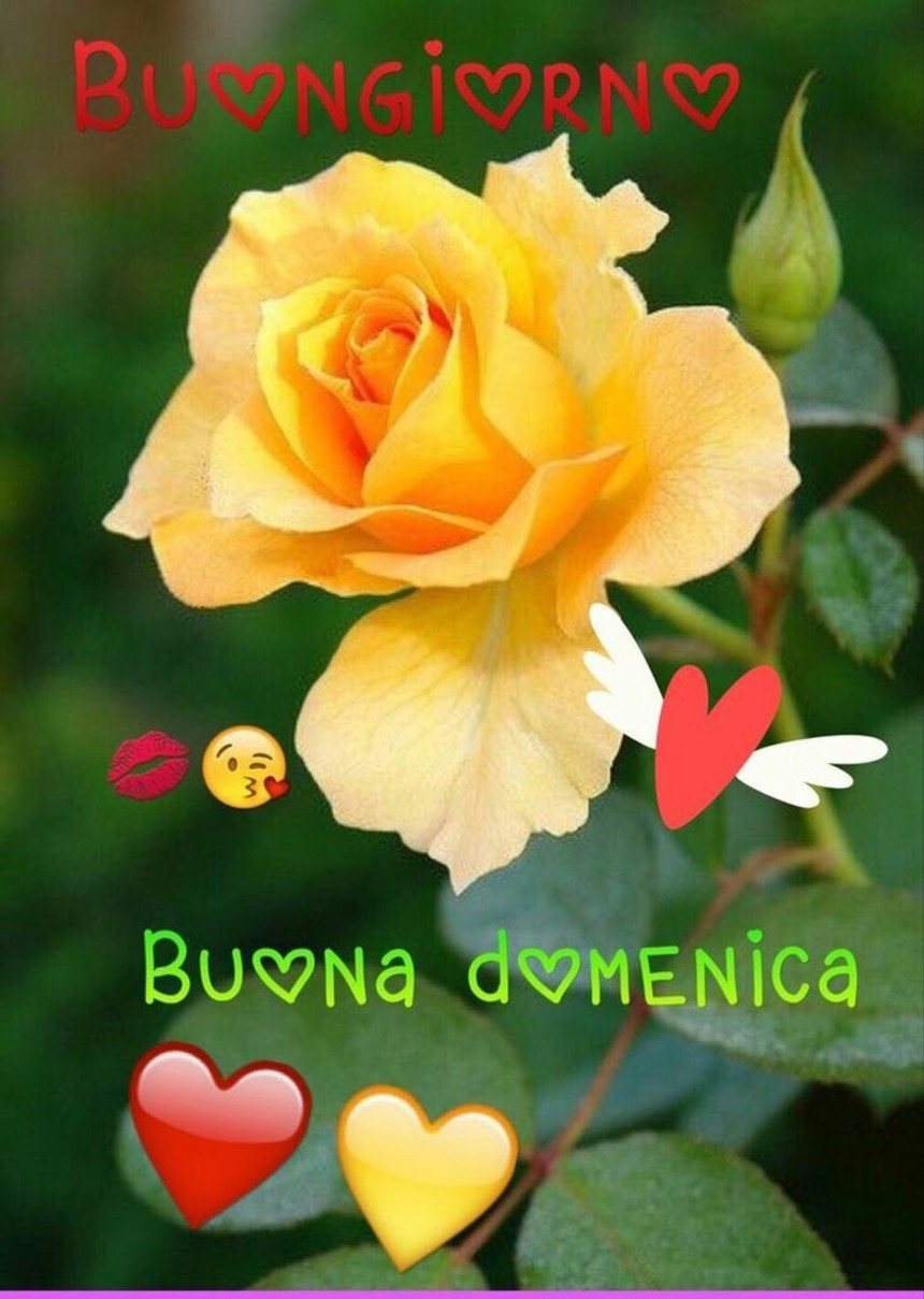 Immagini per Buona Domenica con i fiori (2)