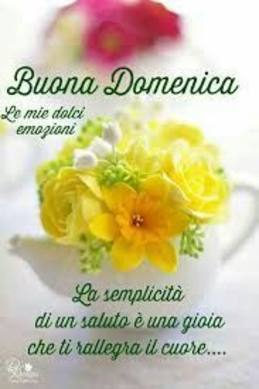 Immagini per Buona Domenica con i fiori (5)