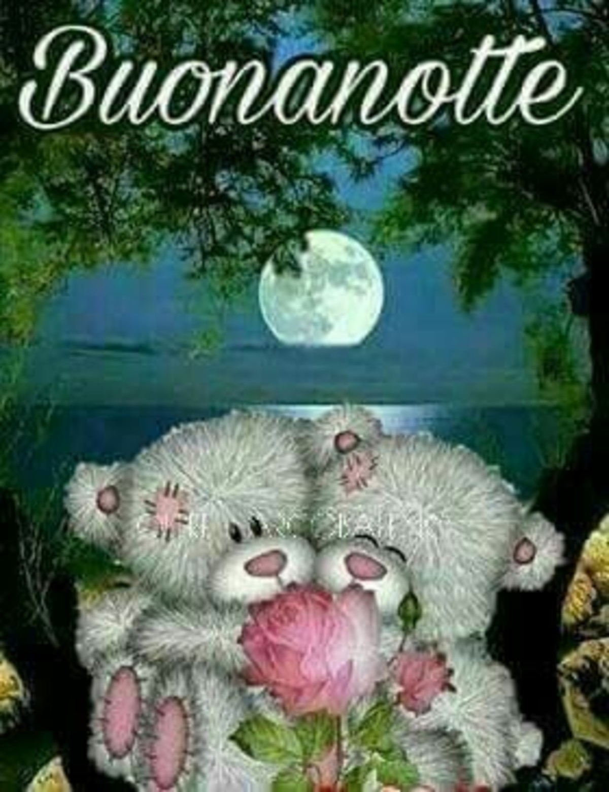 Immagini per Buonanotte 22
