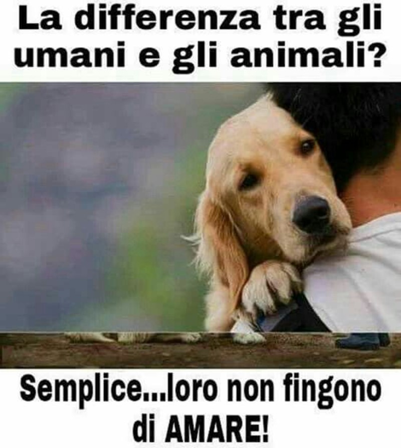 La differenza tra gli umani e gli animali