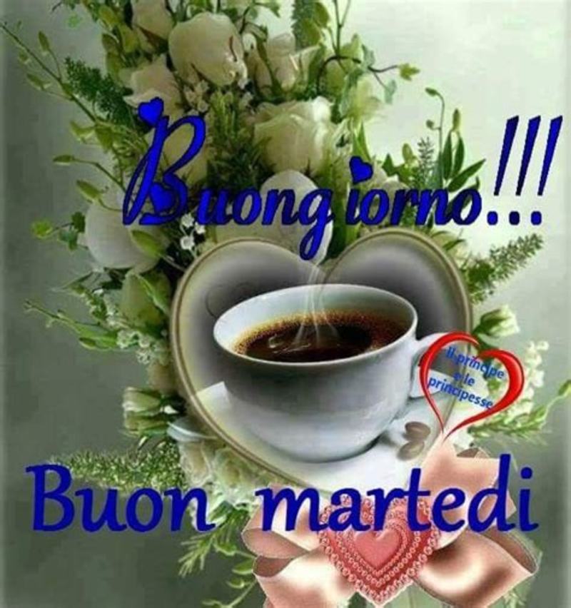 Le più belle immagini di Buon Martedì 8702