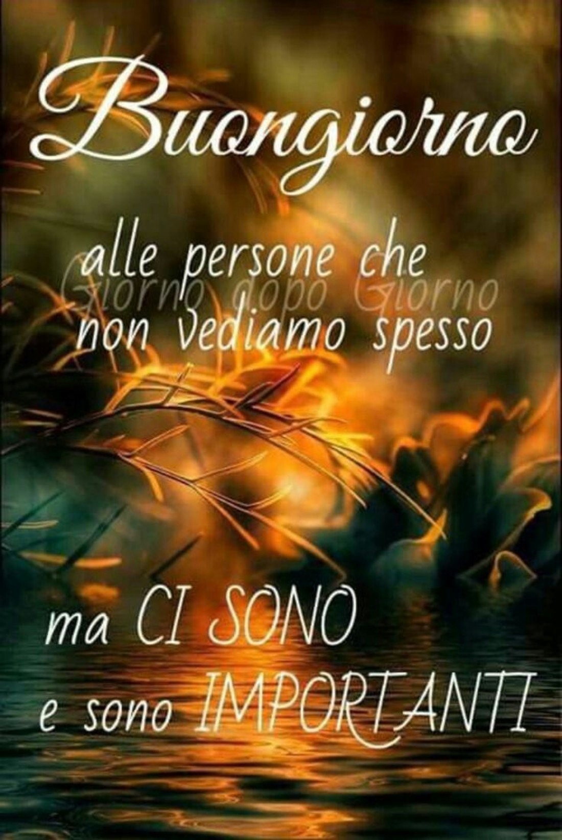 Per Facebook immagini Buongiorno 2444