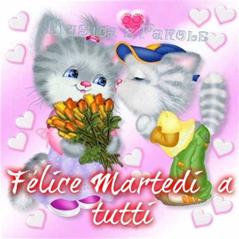 Scarica ora immagini belle buongiorno e buon martedì 9420