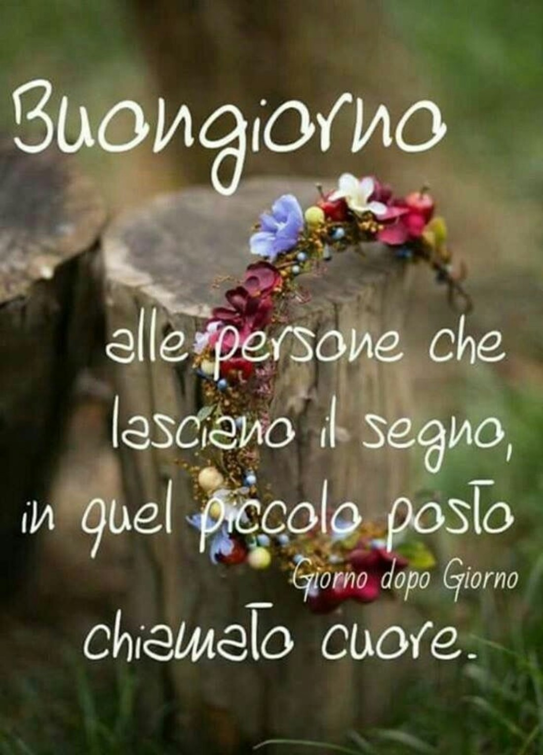 Simpatiche immagini Buongiorno 2120